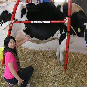 Watanabe Experience Farm