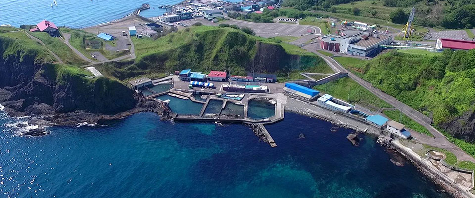 Otaru Aquarium