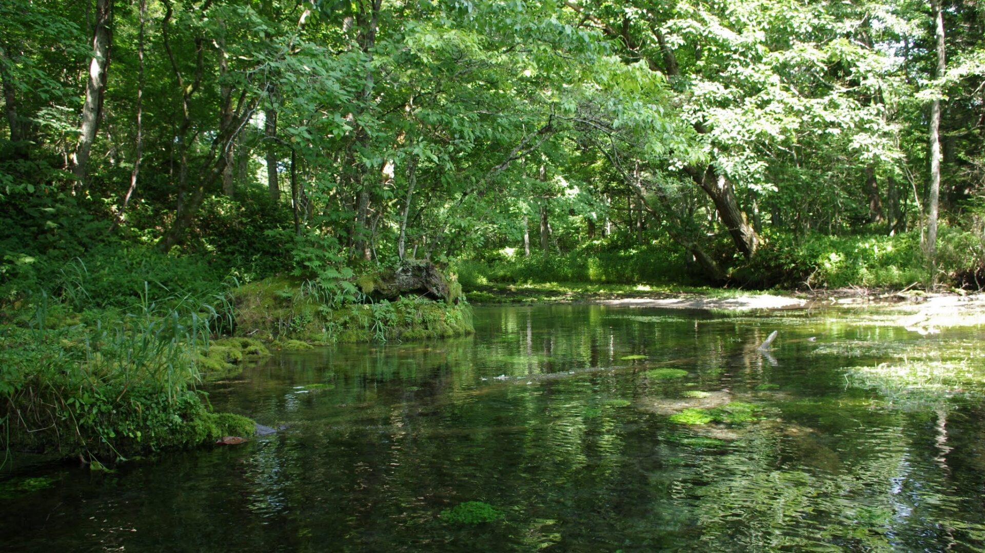 The source of the Kushiro River
The Kushiro River, which flows about 154 km to Kushiro Port. Lake Kussharo is the starting point of the Kushiro River canoe course.