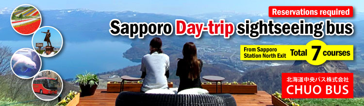 Sapporo Day-trip sightseeing bus