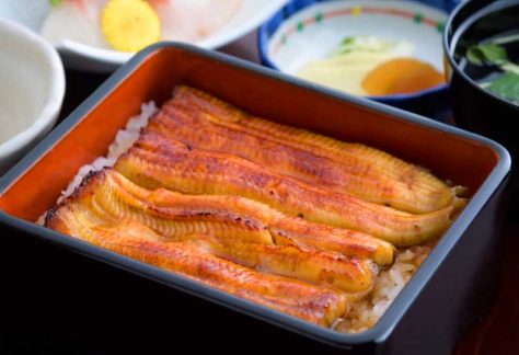 Eels／Miyagawa Honten