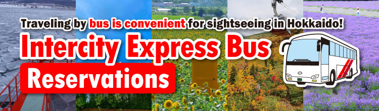 Highway and sightseeing buses in Hokkaido