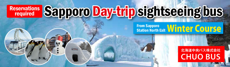Sapporo One-day Sightseeing Bus