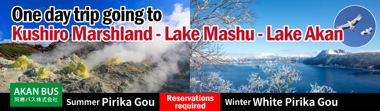 The Pirika, a scheduled sightseeing bus