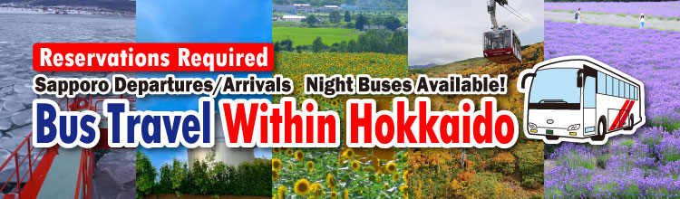 Bus Travel Within Hokkaido