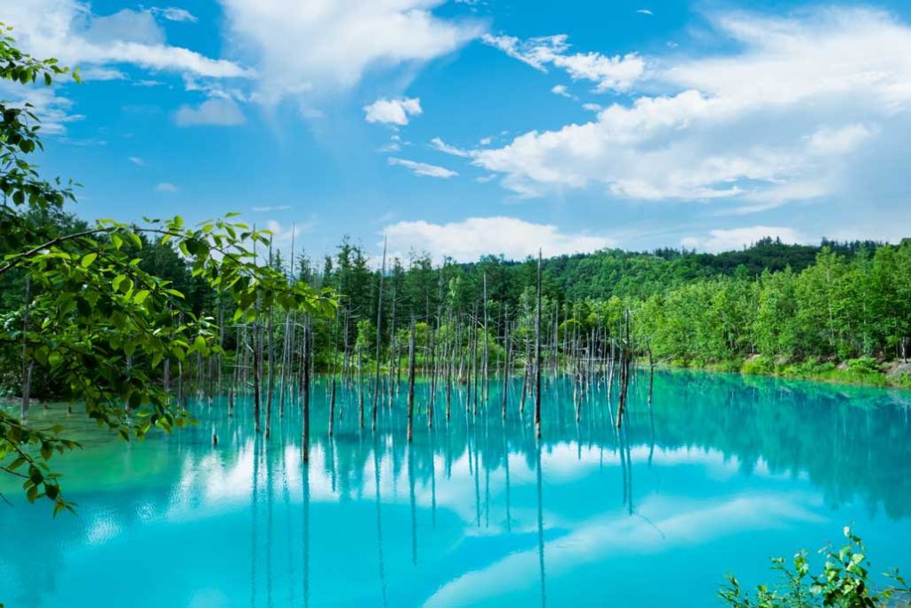 Blue Pond, Biei / Central