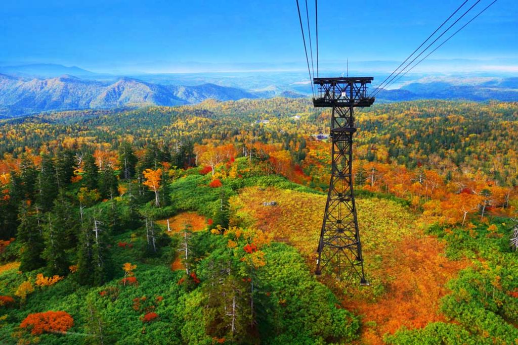 Autumn / Daisetsuzan Asahidake Autumn Foliage