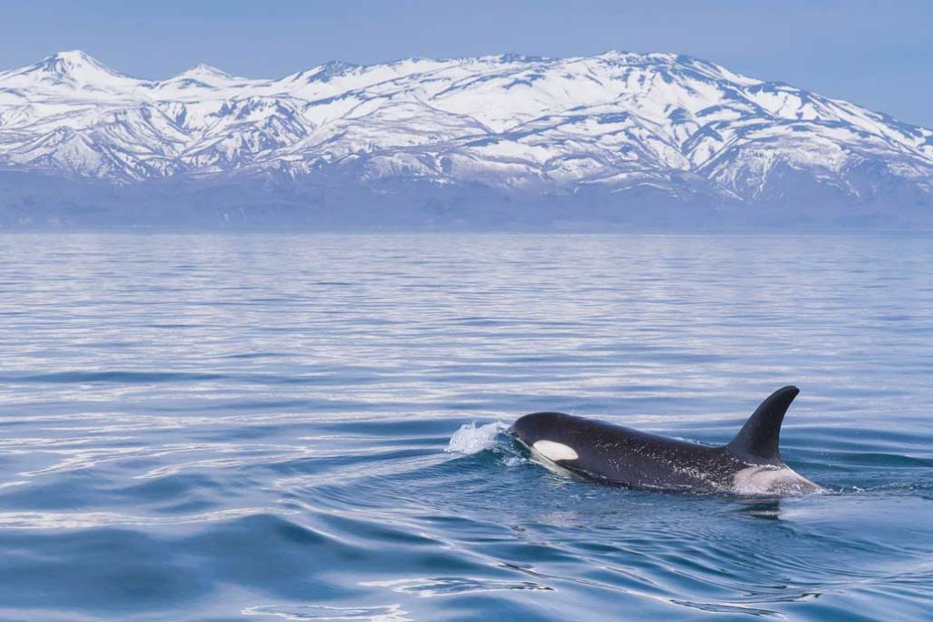 Shiretoko Peninsula / East