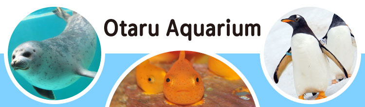 Otaru Aquarium